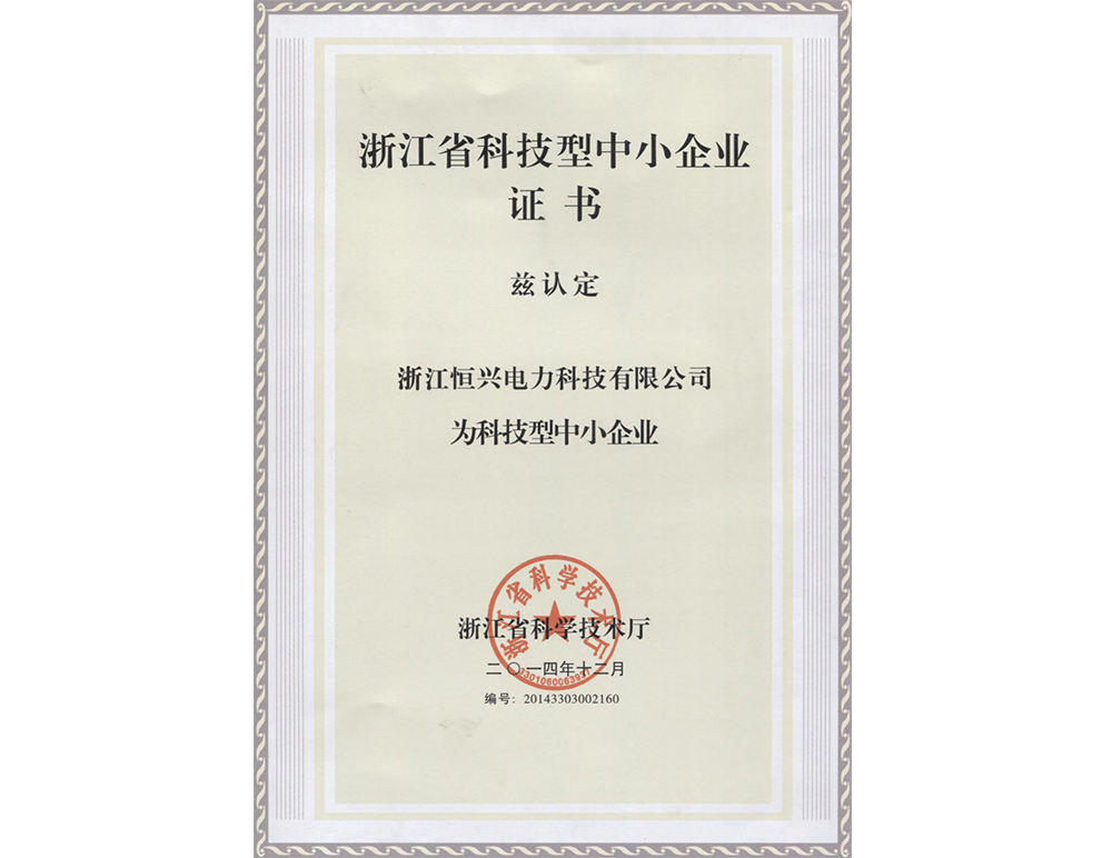 Zhejiang Province Science and Technology Small and Medium Enterprise Certificate